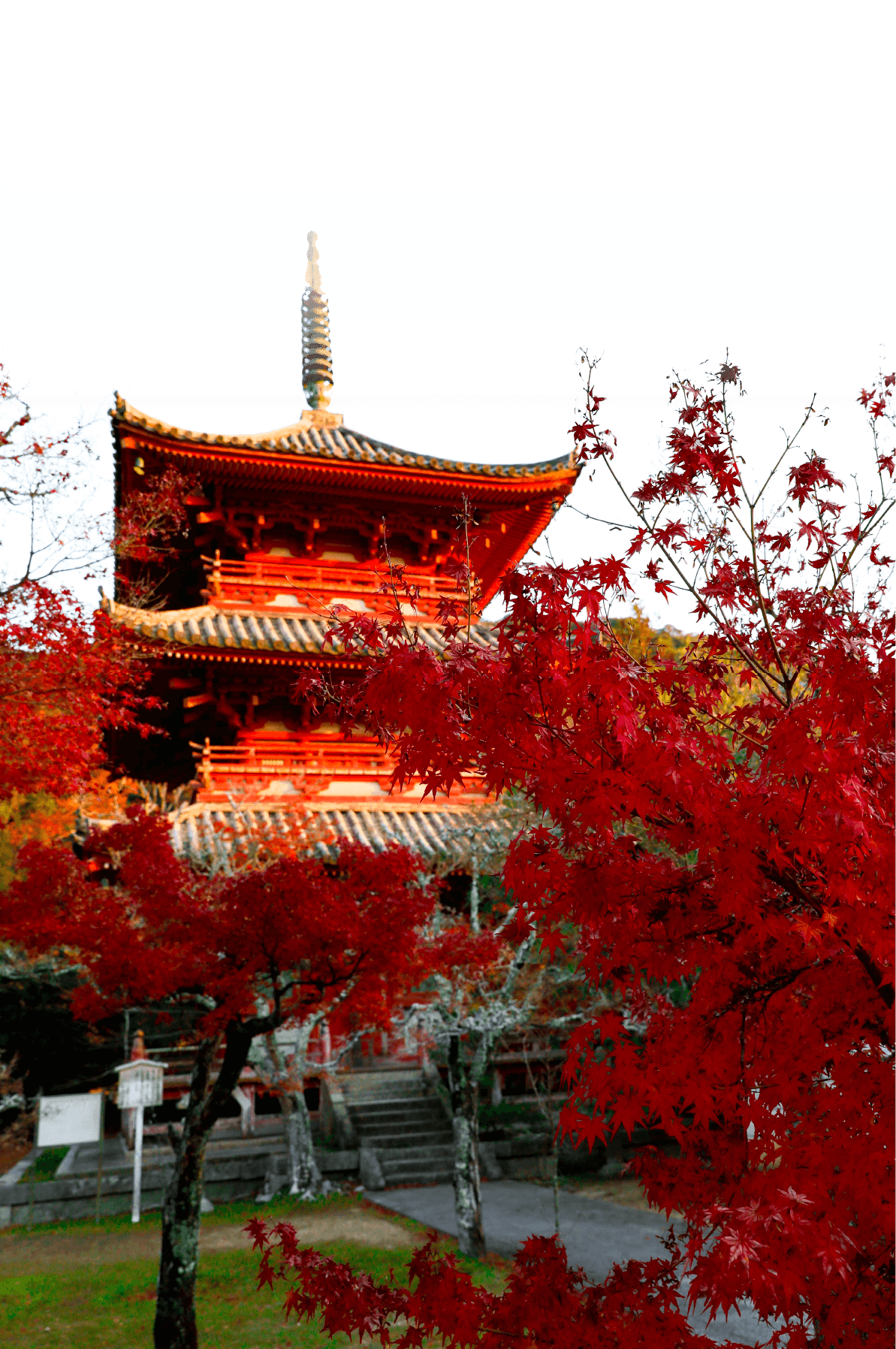 国宝太山寺